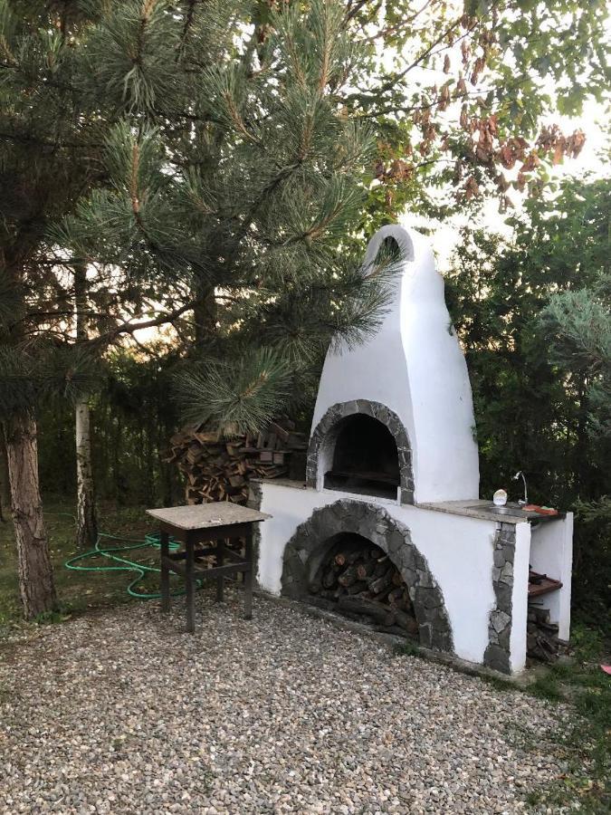 Argeselu Garden Villa - Entire Floor Apartment, Exclusive Garden Access Maracineni Luaran gambar