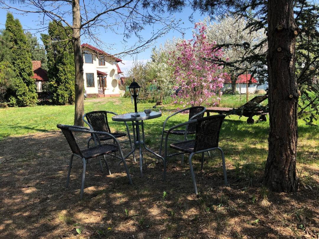 Argeselu Garden Villa - Entire Floor Apartment, Exclusive Garden Access Maracineni Luaran gambar