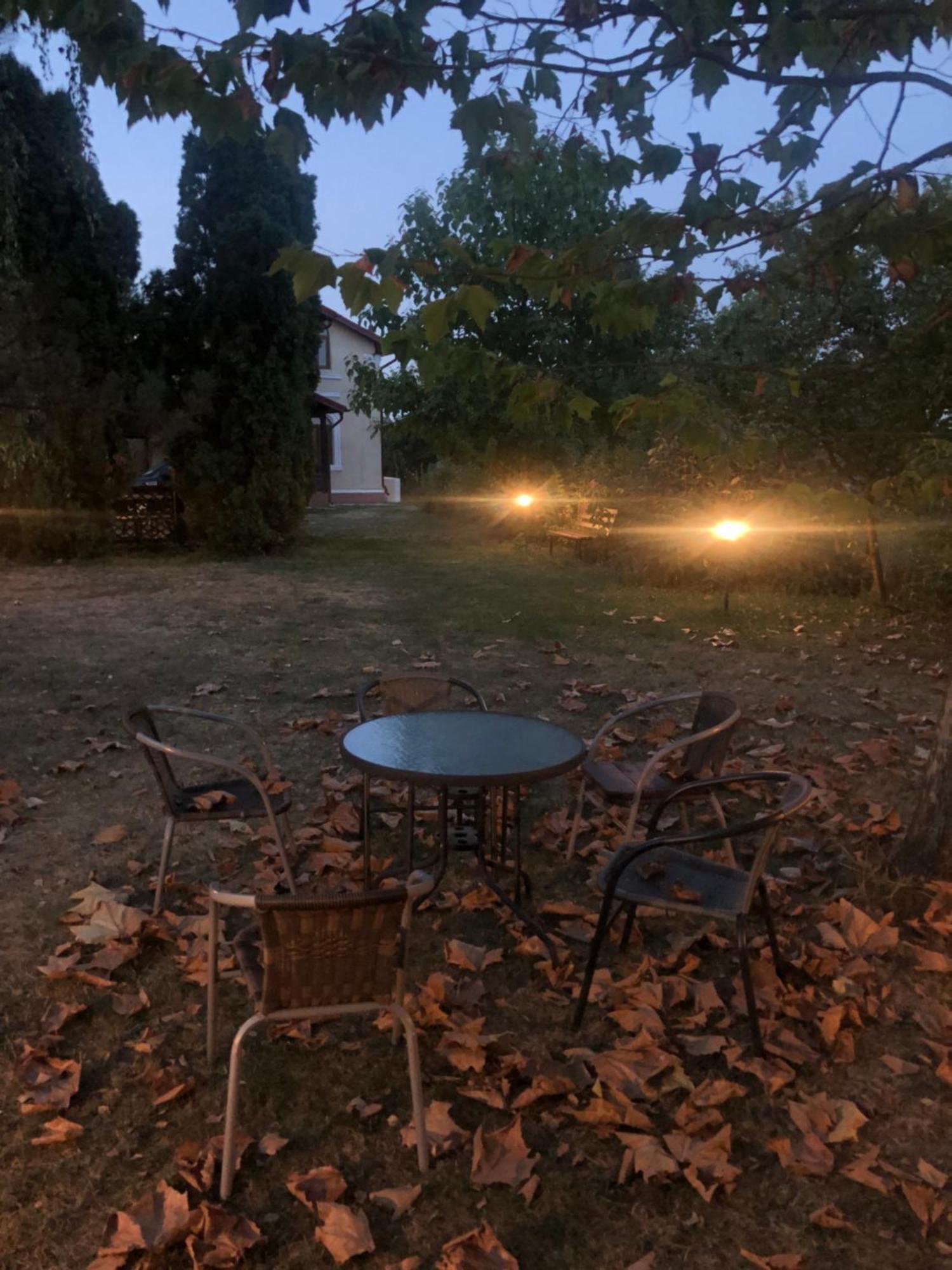 Argeselu Garden Villa - Entire Floor Apartment, Exclusive Garden Access Maracineni Luaran gambar