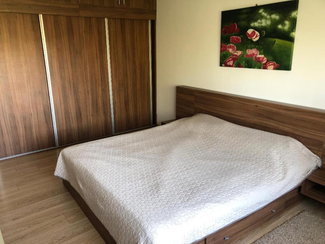 Argeselu Garden Villa - Entire Floor Apartment, Exclusive Garden Access Maracineni Luaran gambar