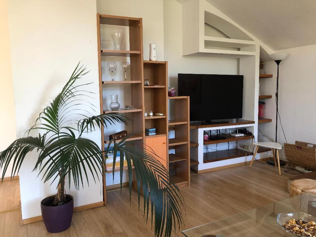 Argeselu Garden Villa - Entire Floor Apartment, Exclusive Garden Access Maracineni Luaran gambar